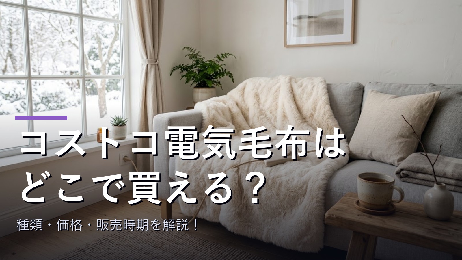 ソファに掛けられたふわふわの大判電気毛布と温度コントローラー